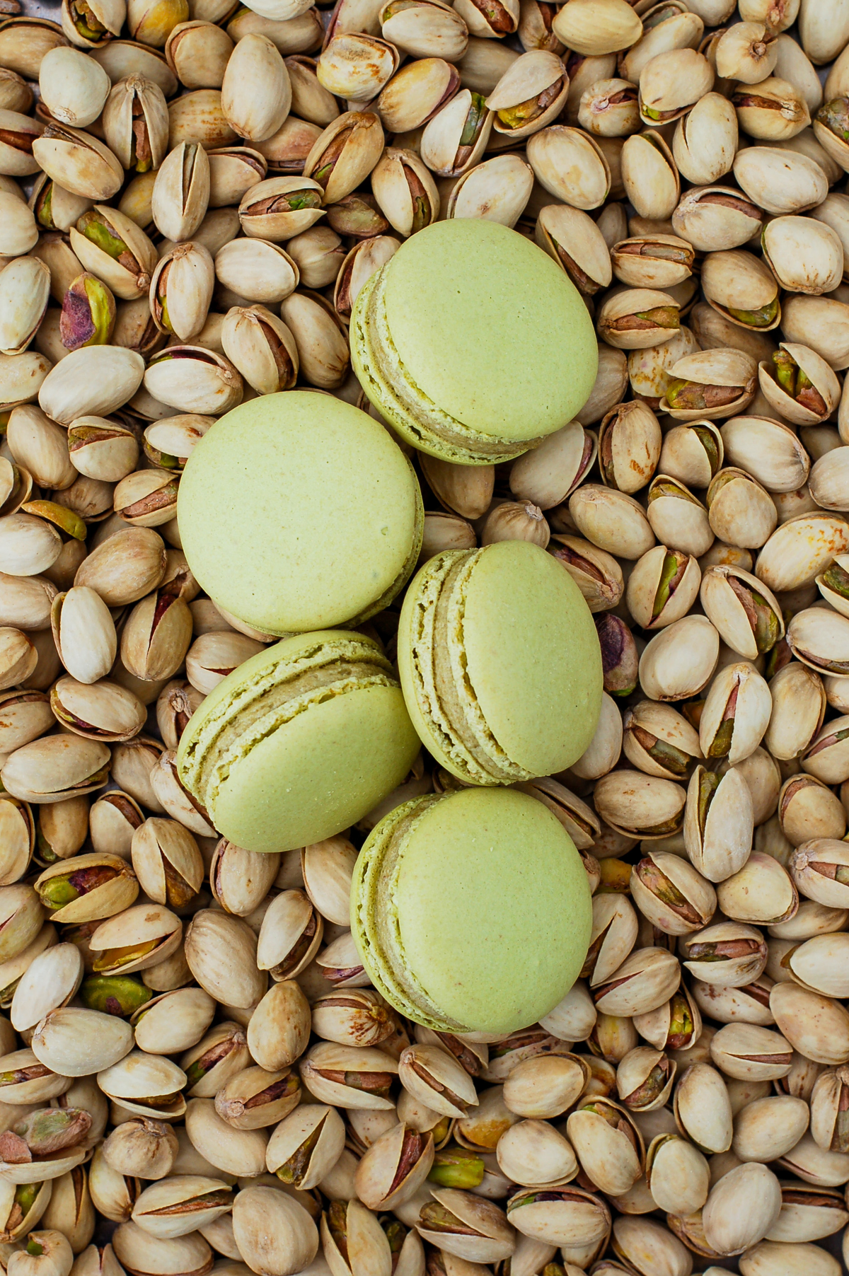 Macarons